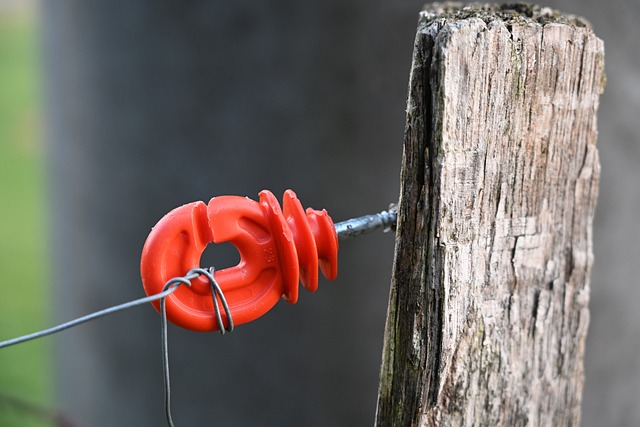 insulator-4823903_640