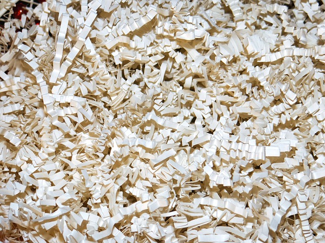 shredded-71381_640
